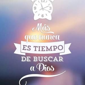 Meet your Posher, Martha